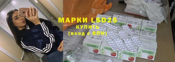 мяу мяу мука Иннополис