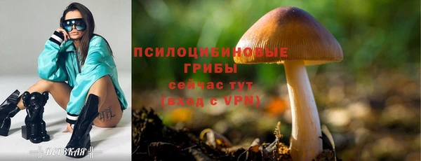 мяу мяу мука Иннополис