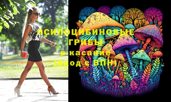 мяу мяу мука Иннополис