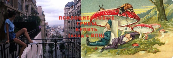 мяу мяу мука Иннополис