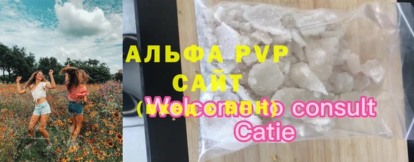 мяу мяу мука Иннополис