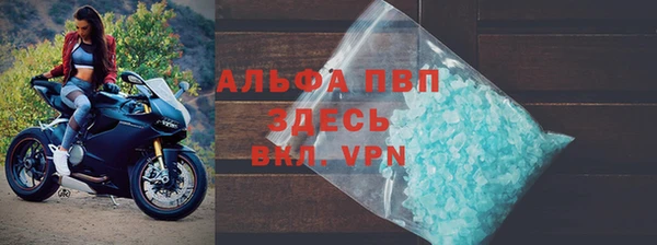 мяу мяу мука Иннополис